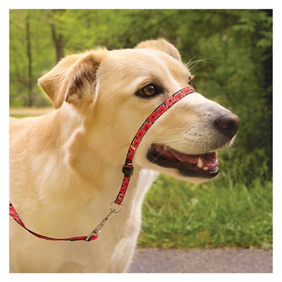 Gentle leader chic, POPPIES head collar and leash, size medium and large - Picture 8 of 9